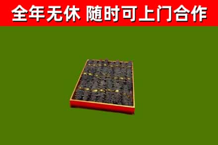 白云区回收海参